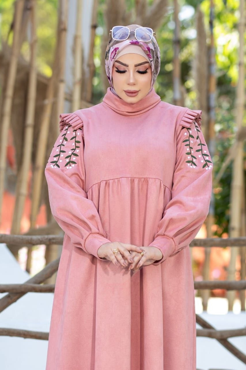 Embroided Sleeves Dress