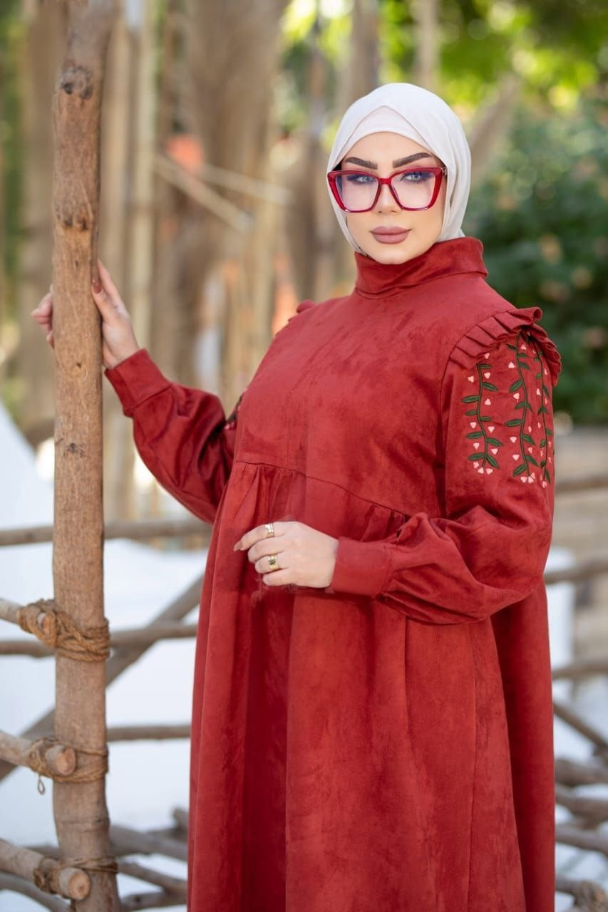 Embroided Sleeves Dress